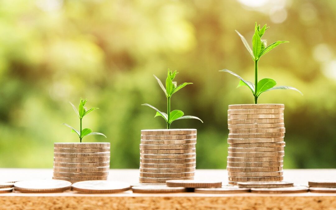 Isolamento termico un investimento reale per la tua casa